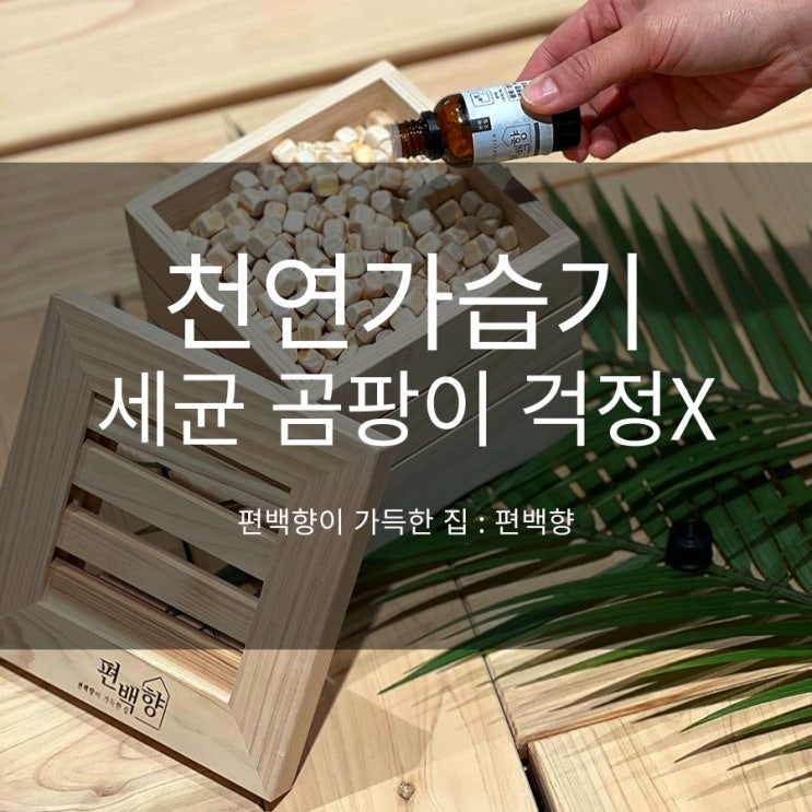  가습기종류 돌고돌아 안전한 천연가습기로 바꾼 이유