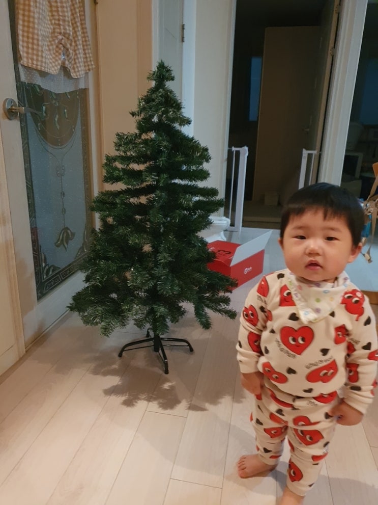  생후492일 :: 크리스마스트리 꾸미기