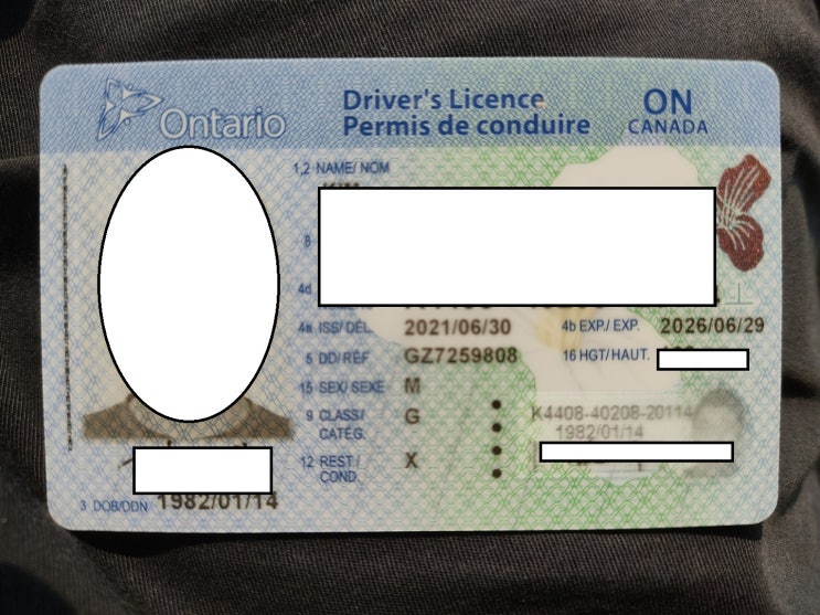  캐나다 킹스턴 한국 운전면허증 교환하기!