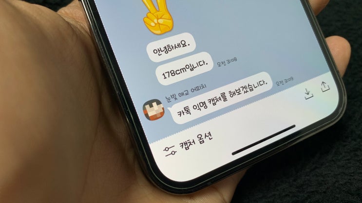  카톡 익명 캡쳐 : 이름 변경 모자이크 처리까지