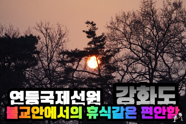  인천 강화도 웰니스 힐링 여행 연등국제선원에서의 템플스테이