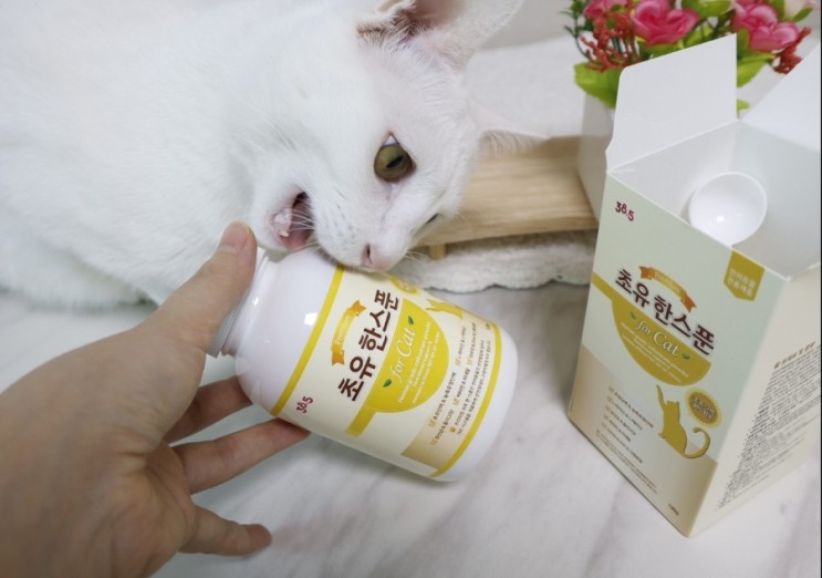 기호성 좋은 고양이영양제 38.5 초유 한스푼- 고양이 면역영양제추천
