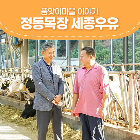  동물복지 우유 찾으세요? 동물복지 축산농장 정동목장 세종우유!