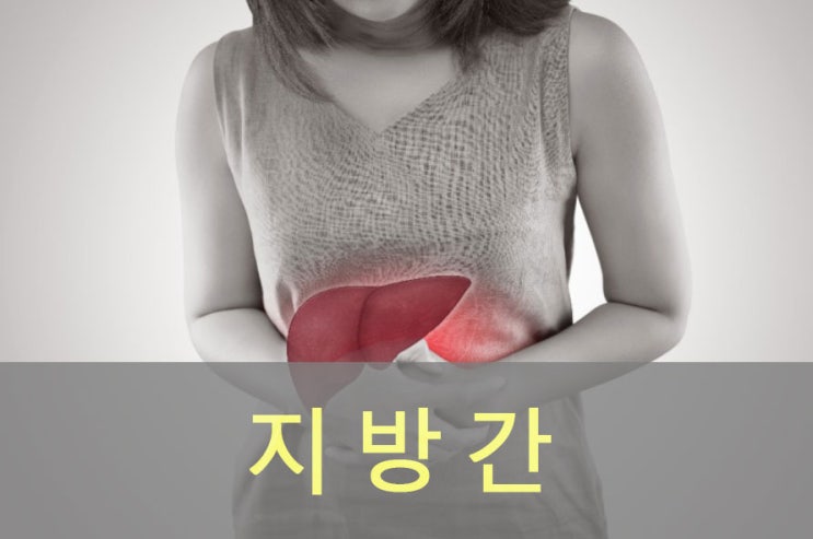 지방간 원인과 증상, 좋은 음식, 영양제