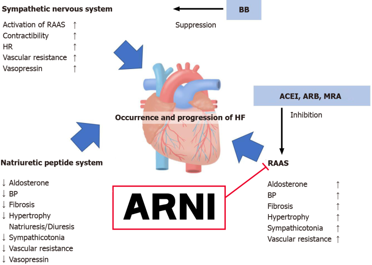 심부전 약물 ARNI (Angiotension Receptor-Neprilysin Inhitor)
