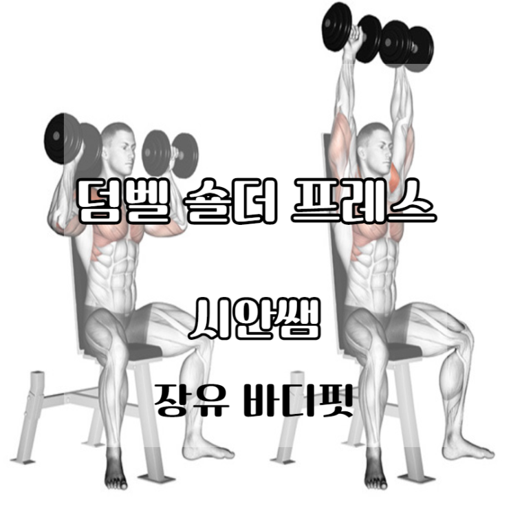 어깨 운동 덤벨 숄더 프레스 장유 피티