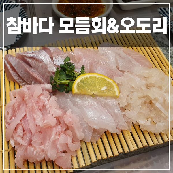  이게 진짜 회지!! 온천동 참바다 자연산 모듬회&오도리 새우 방문 솔직 리뷰