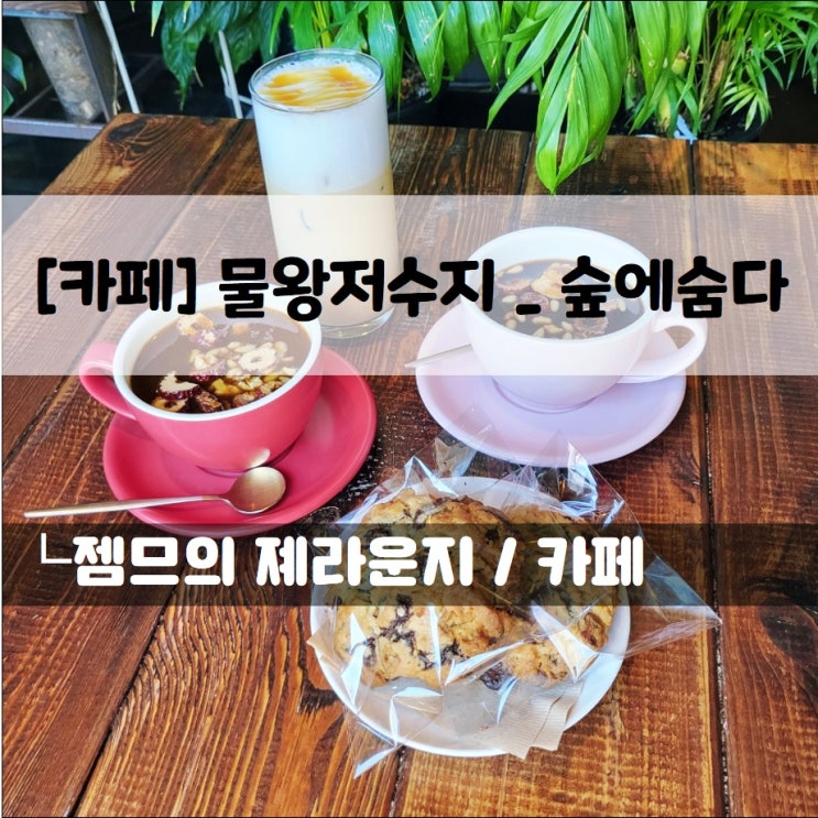  <시흥 물왕저수지 카페 / 숲에숨다> 식물들이 가득한 힐링 카페