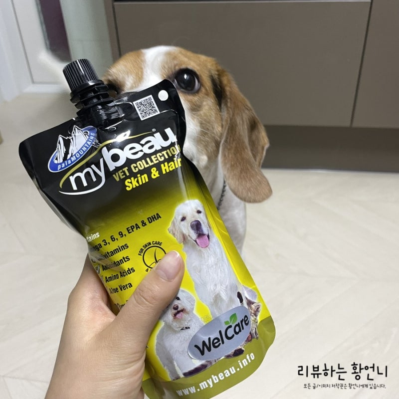강아지 피부영양제 마이뷰 스킨앤헤어 단모친구들 모여봐