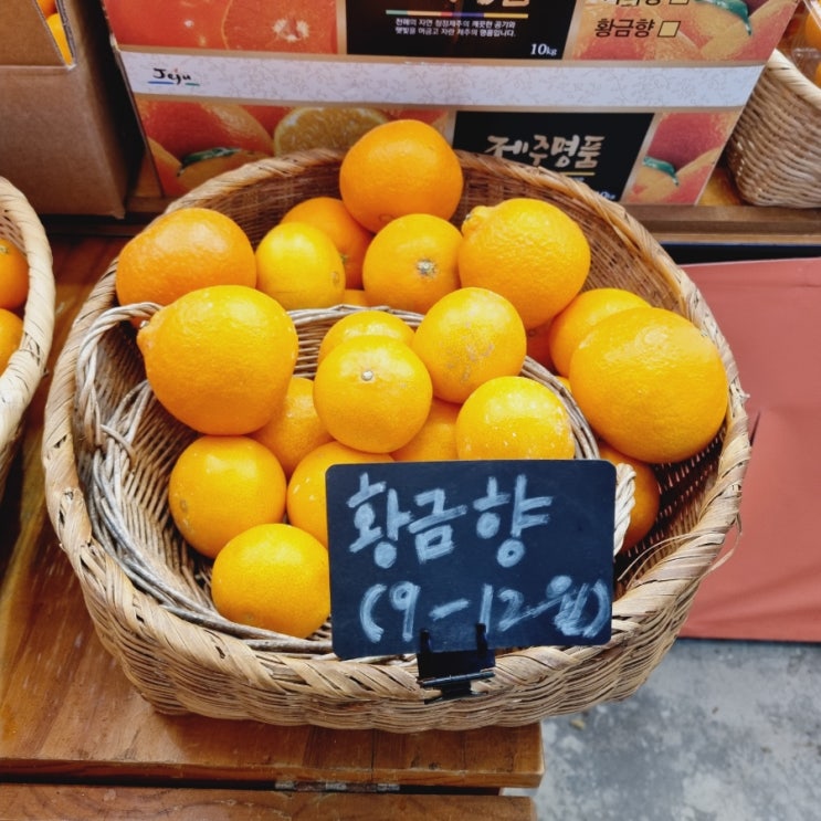제주여행선물 서귀포 엄선된 감귤 황금향 귤메달 하우스 제주여행선물 서귀포 엄선된 감귤 황금향 귤메달 하우스