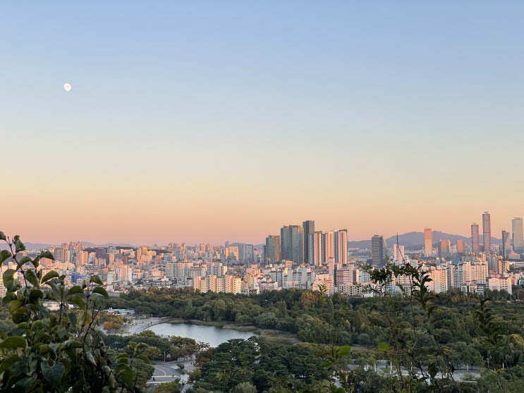 하늘과 가장 가까운 공원 서울의 하늘공원