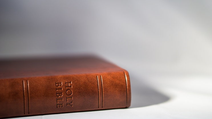  Bible과 Scripture 차이가 무엇인가요?