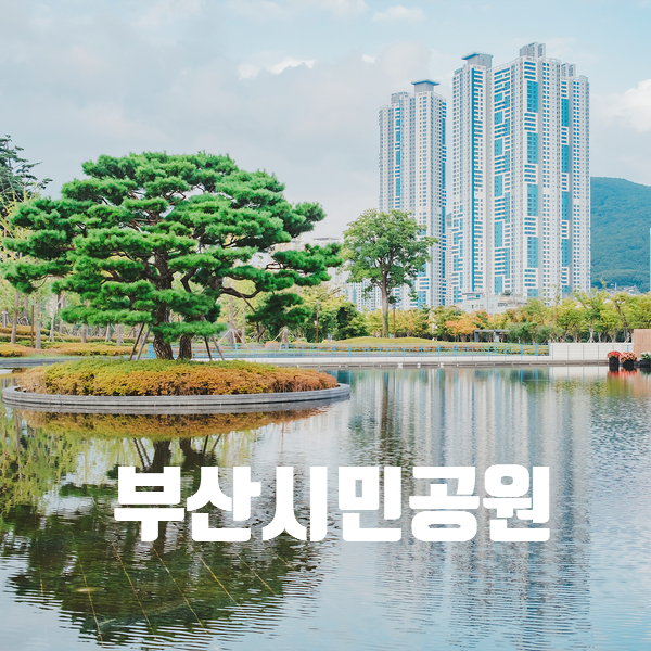  부산시민공원 주차장 및 산책 & 인터벌 트레이닝
