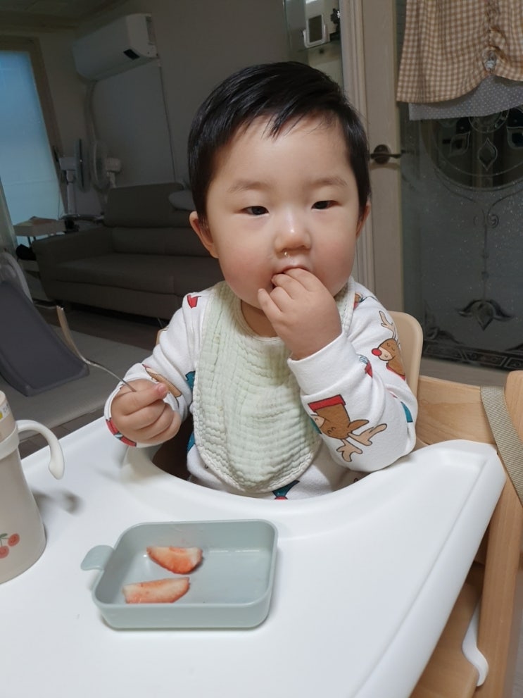  생후497일 :: 하원하고 딸기 먹는 일상