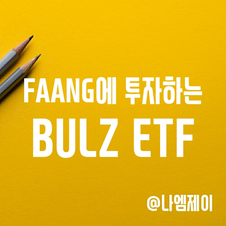 미국 FAANG과 MAGA 3배 레버리지 투자 - BULZ ETF (종목, 수수료, 만기)