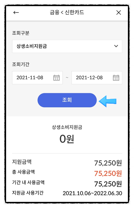 코로나 상생소비지원금 차감(Ft.신한카드)