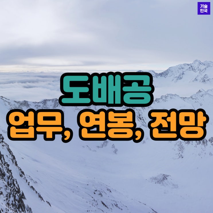  현장관리인 자격직종 - 도배공 (업무, 연봉, 전망)