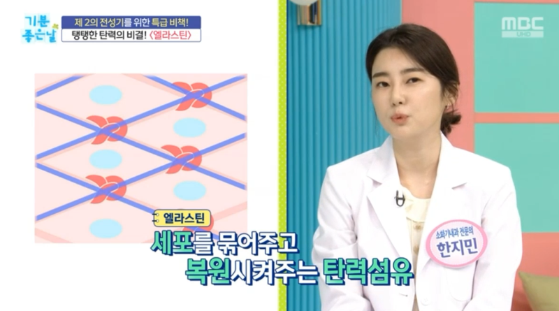 식용 엘라스틴 저분자량 탄력 콜라겐 고르는 방법 알아보기! 4