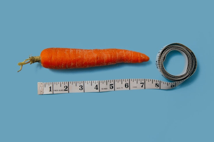 당근과 채찍 당근과 채찍