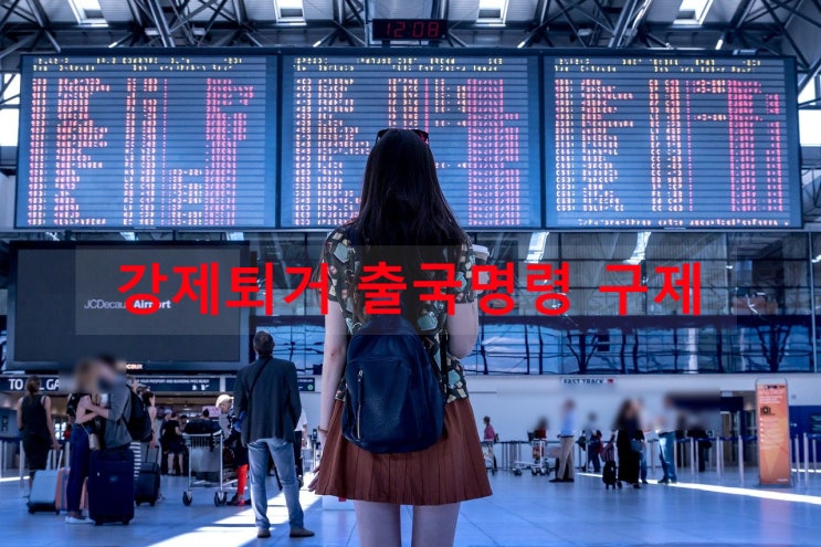 불법취업, 불법체류 출입국관리법 위반으로 강제퇴거 강제추방 출국명령 대처 방안 불법취업, 불법체류 출입국관리법 위반으로 강제퇴거 강제추방 출국명령 대처 방안