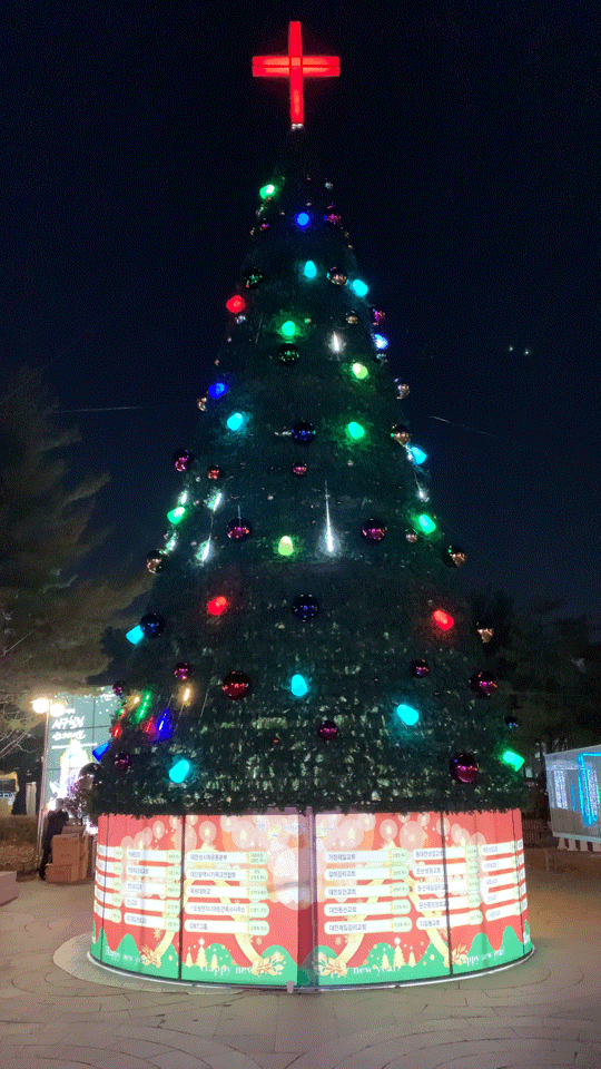 대전 보라매공원! 대전시청 주변 대형 크리스마스트리가 있는 곳 대전 데이트 가볼만한곳 산책으로 제격입니다