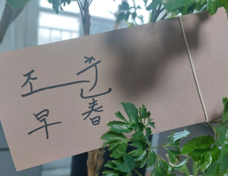 <시> 조춘 피천득 수필 조춘 <시> 조춘 피천득 수필 조춘