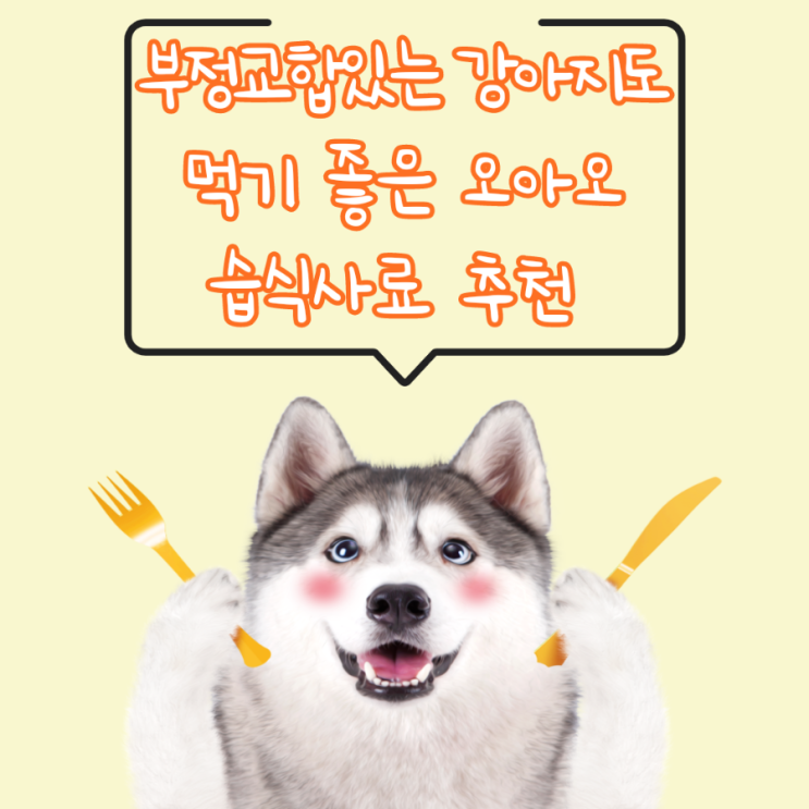  부정교합, 치아 안좋은 강아지도 잘먹는 오아오 습식사료와 수제간식 추천