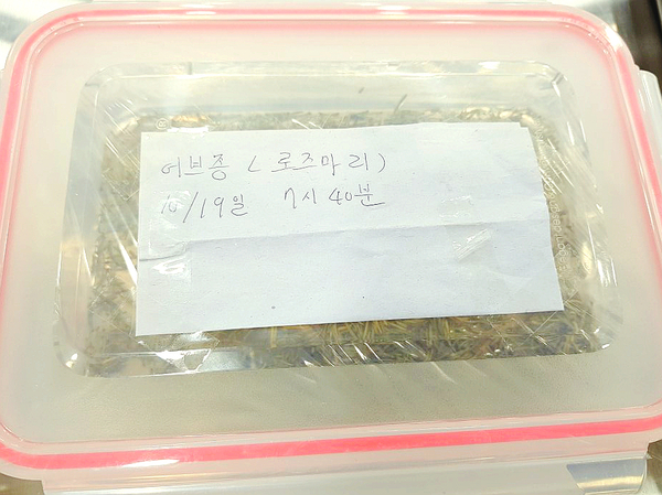  천연발효종 로즈마리 허브종을 만들어 보아요