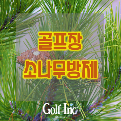  골프장 소나무 방제의 핵심은 잠재 감염목 제거...소나무 철통방역