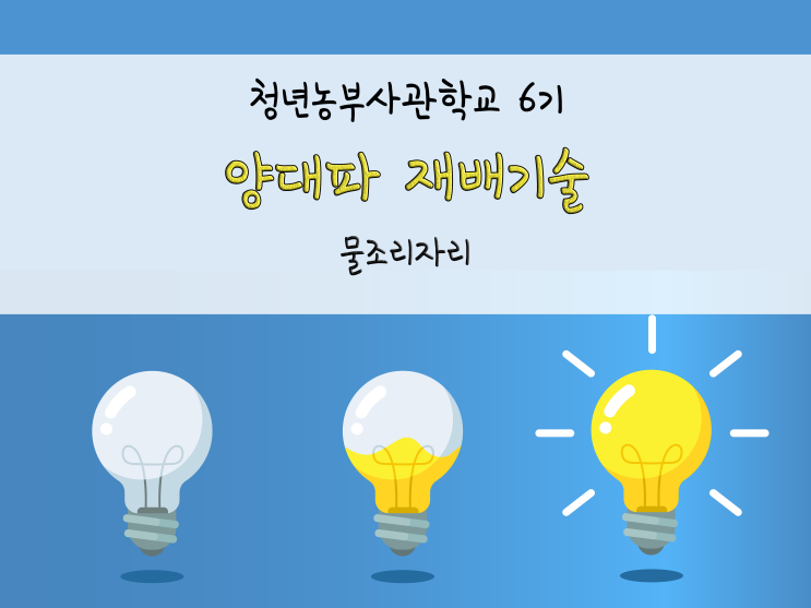  소소함에서 특허까지_양대파 재배기술_물조리자리_211208