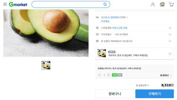  뉴질랜드 아보카도