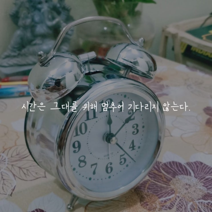  부거사이 [부동산 뉴스와 블로그] 12월 9일(목)
