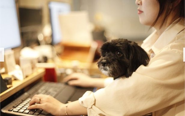집 청소·월세 지원… 기업 복지가 달라진다 집 청소·월세 지원… 기업 복지가 달라진다