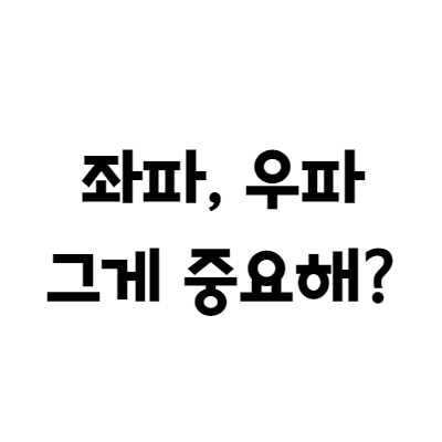  대한민국의 정치병이 고쳐지기를