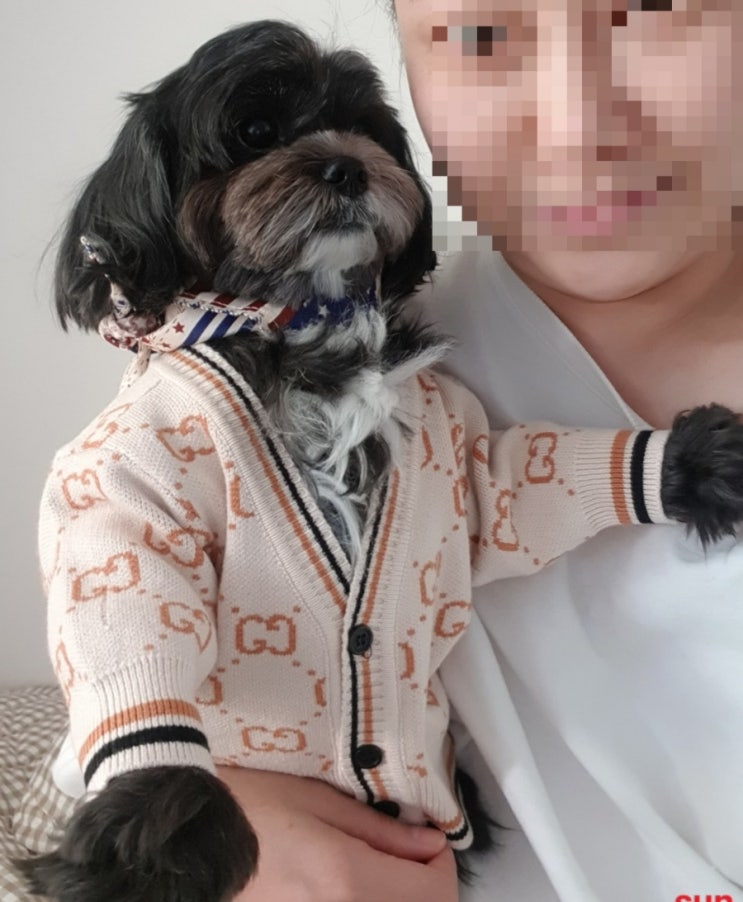  내돈내산-강아지 패딩,강아지 옷