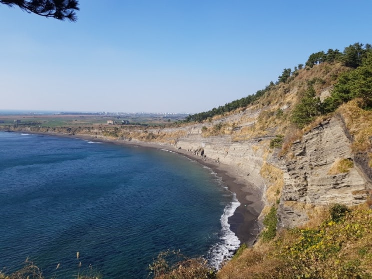  [제주도 여행 코스]  송악산 둘레길 (동백 포레스트 올레시장) (1일차)