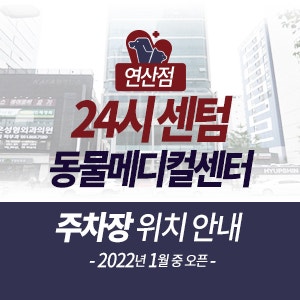 24시 센텀동물메디컬센터 연산점 (2022년 1월 10일 예정) 주차장 위치 안내 (2021.12.28 UPDATE)