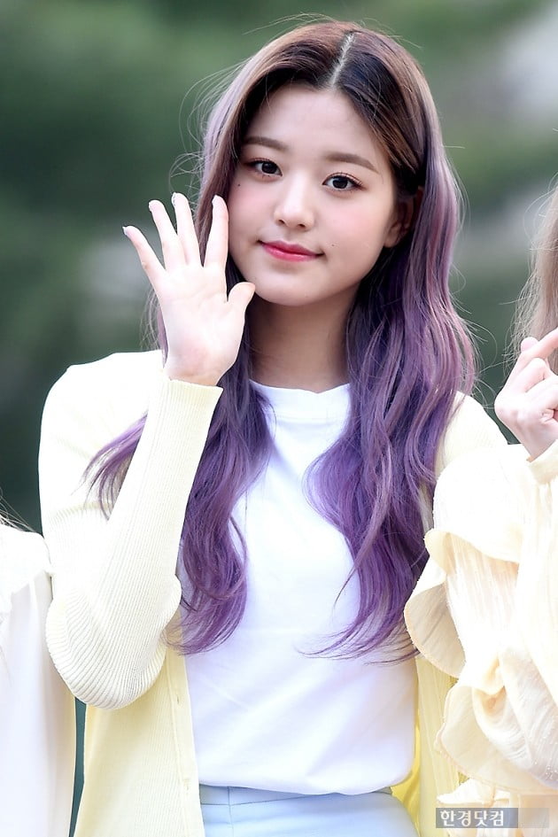 장원영 나이 아이브 아이즈원 학력 키 고향 가족 언니 프로필 프리지아 장원영 나이 아이브 아이즈원 학력 키 고향 가족 언니 프로필 프리지아