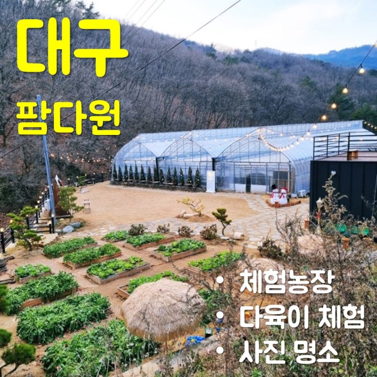  대구 팜다원에서 아이와 다육이 체험했어요