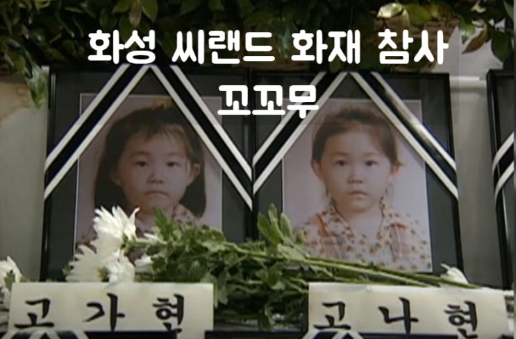씨랜드 화재 참사 김일수 화성 군수 형량 김순덕 뉴질랜드 이민 꼬리에 꼬리를 무는 그날이야기 씨랜드 화재 참사 김일수 화성 군수 형량 김순덕 뉴질랜드 이민 꼬리에 꼬리를 무는 그날이야기