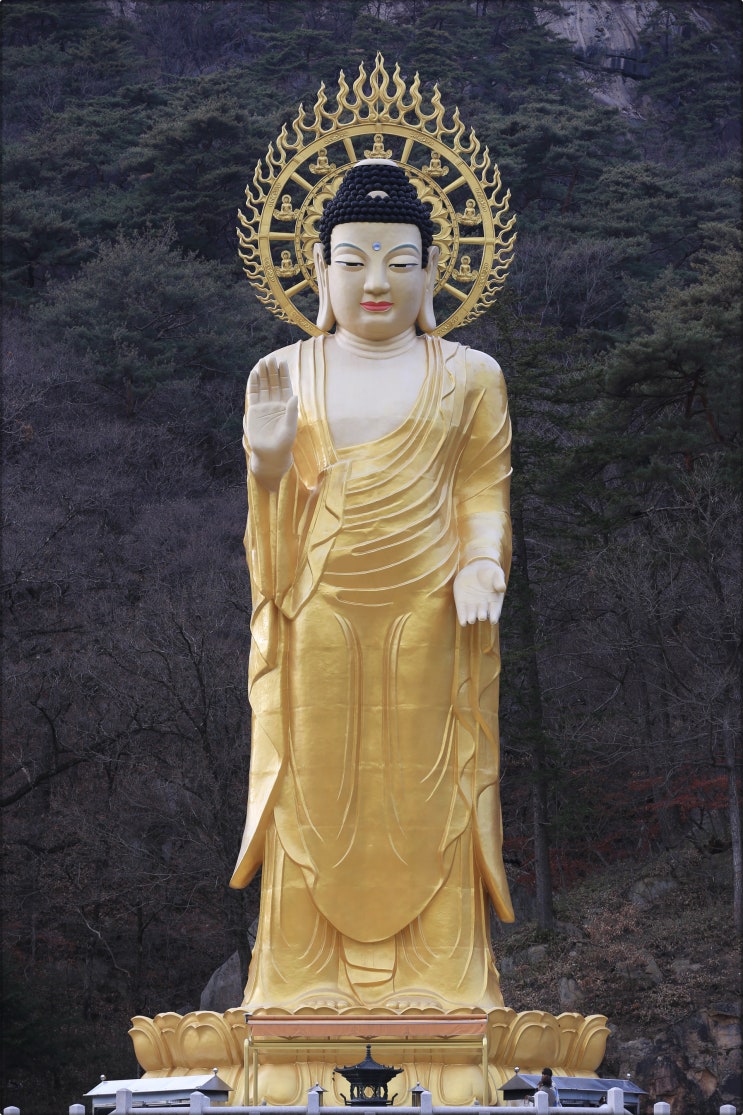  충북보은가볼만한곳 속리산 법주사에 있는 금동미륵대불, 팔상전, 마애여래의좌상..