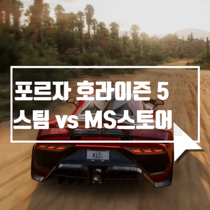  포르자호라이즌5 스팀 vs 마이크로소프트 스토어(차이점)