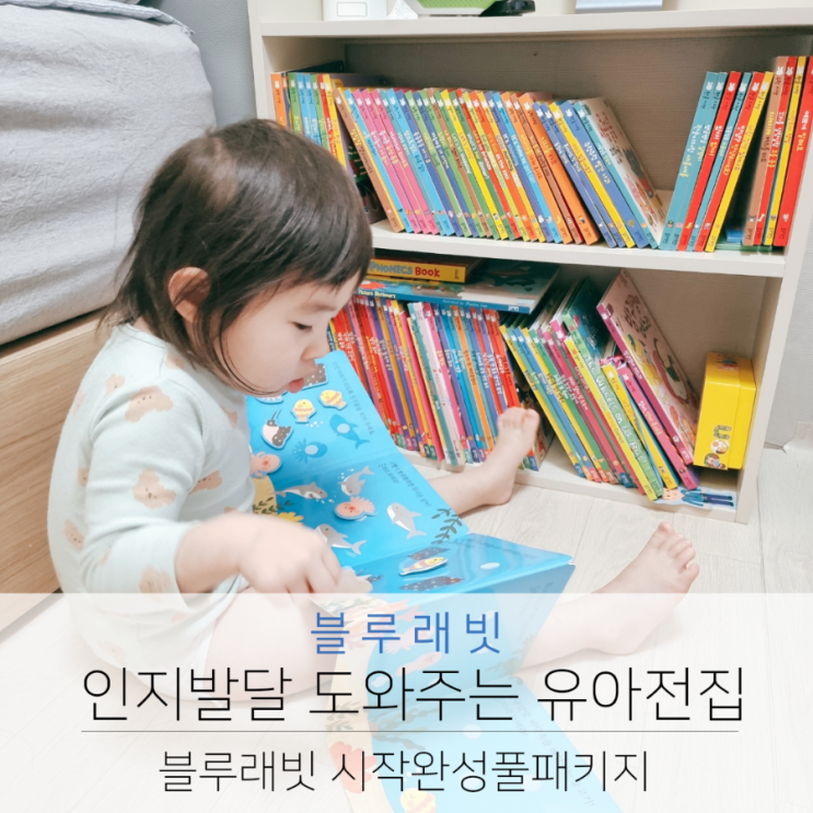  인지발달 도와주는 유아전집 블루래빗 시작완성풀패키지