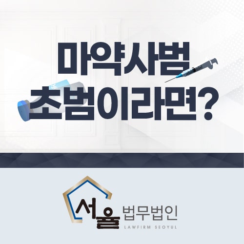 초범에 대한 보호 관찰과 같은 관용을 얻기 위해,