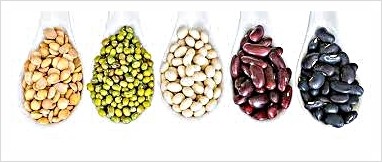 콩, 단백질 식물 쇠고기 아미노산 항암 식품 유방암 전립선암
