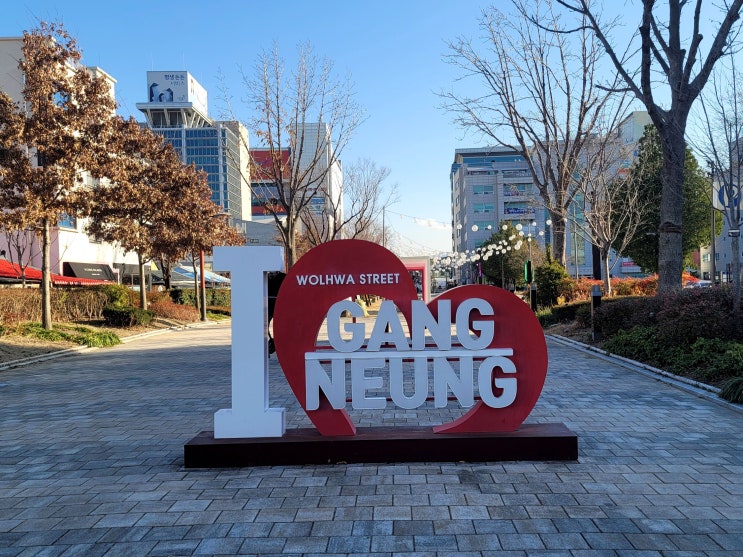 강릉 월화거리 브리오슈 맛집 강릉오빠 강릉중앙시장 먹거리 여행 강릉 월화거리 브리오슈 맛집 강릉오빠 강릉중앙시장 먹거리 여행