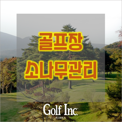  골프장 소나무도 철통 방역이 필요 '솔아 솔아 푸르른 솔아 병충해에 떨지 마라'