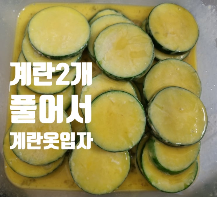  애호박전