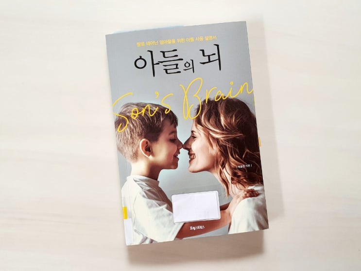  딸로 태어난 엄마들을 위한 아들 사용 설명서 <아들의 뇌>