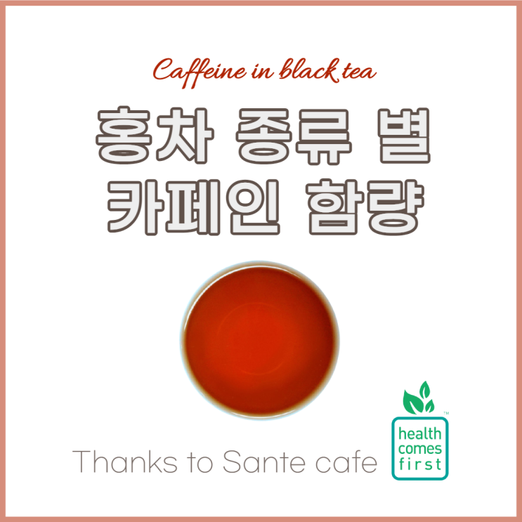  홍차 카페인, 얼그레이 등 종류 별로 알아보자(THX to. 서래마을 쌍떼카페)